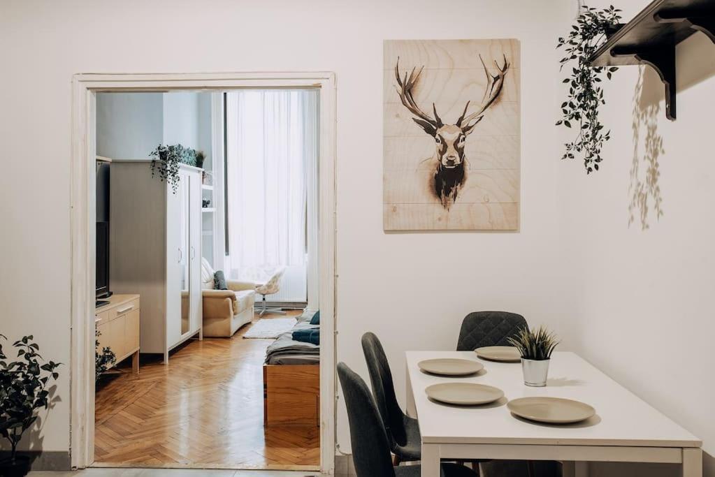 Big Apartment In The City Centre بودابست المظهر الخارجي الصورة